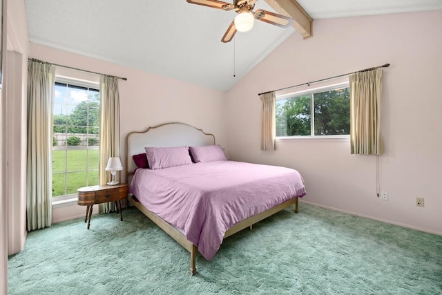 1411 Shenandoah Dr, Cedar Park, TX 78613 - bedroom with multiple windows, carpet flooring, and ceiling fan