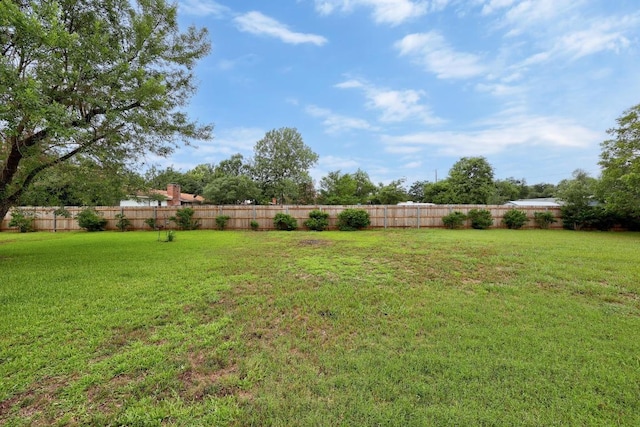 1411 Shenandoah Dr, Cedar Park, TX 78613 - view of yard