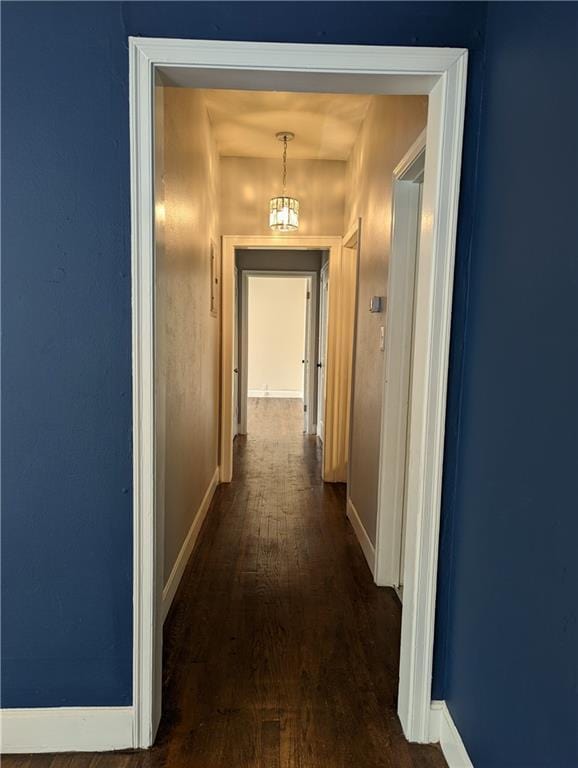 308 Taylor Rd, Elgin, TX 78621 - hall featuring dark wood-style flooring and baseboards