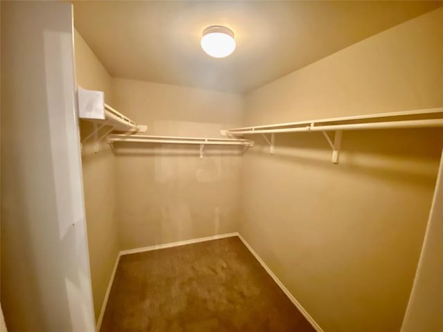 358 Spring, Kyle, TX 78640 - walk in closet featuring dark colored carpet