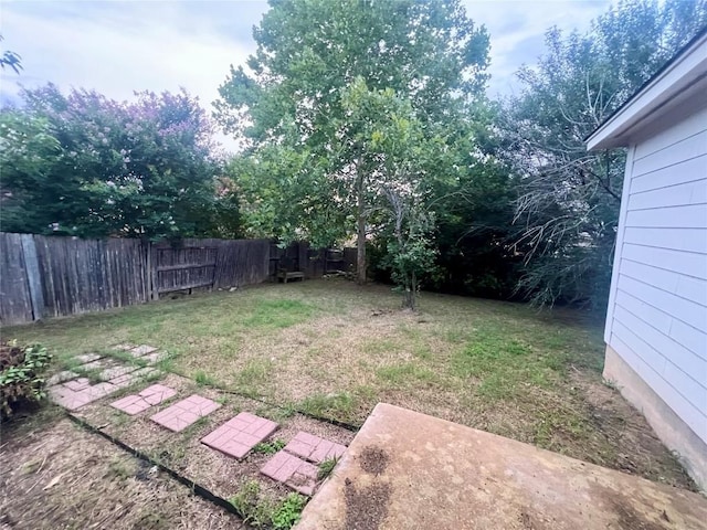 358 Spring, Kyle, TX 78640 - view of yard with a patio