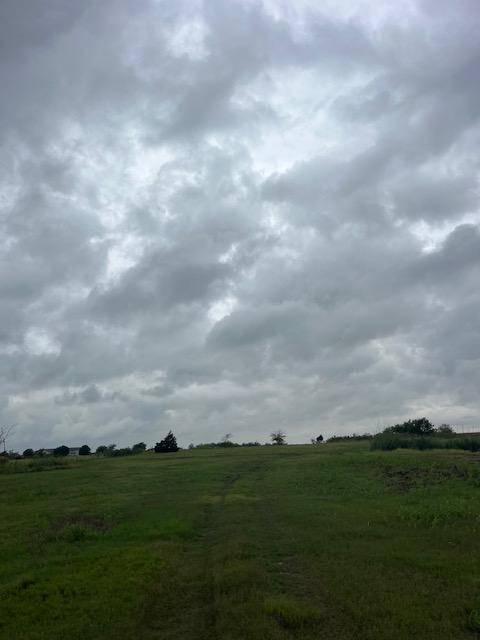1700 County Road 406, Taylor, TX 76574 - photo 6