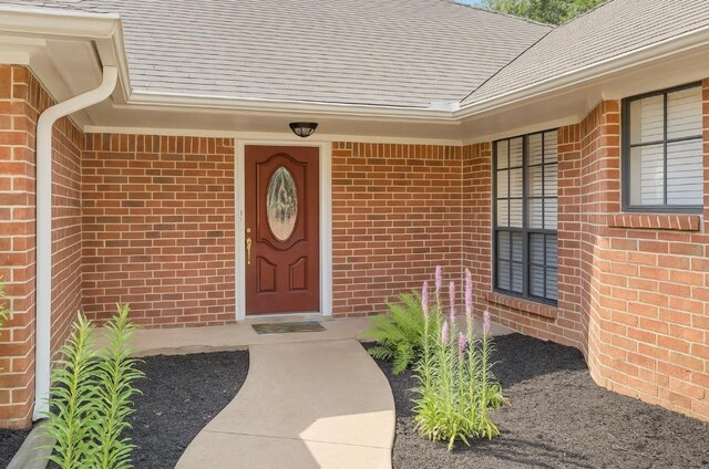 10007 Brantley Bnd, Austin, TX 78748 - view of exterior entry featuring brick siding and a shingled roof