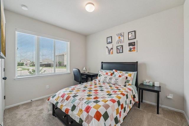 509 Bridgestone Way, Buda, TX 78610 - photo 15