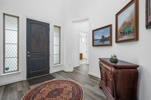 1404 Scenic Oaks Dr, Georgetown, TX 78628 - foyer featuring wood finished floors