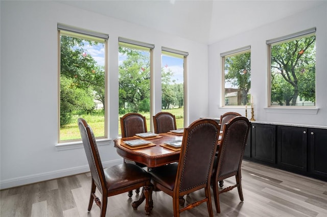 1404 Scenic Oaks Dr, Georgetown, TX 78628 - dining area featuring light wood-style floors and healthy amount of natural light