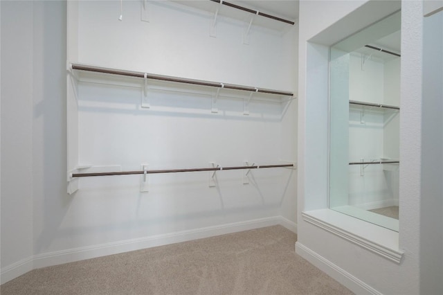1404 Scenic Oaks Dr, Georgetown, TX 78628 - spacious closet with carpet