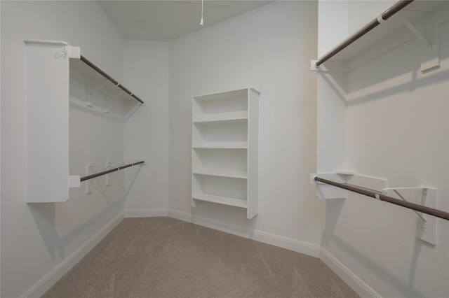1404 Scenic Oaks Dr, Georgetown, TX 78628 - photo 17