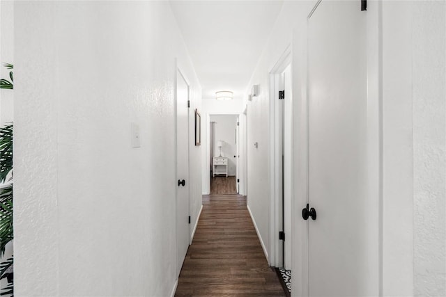 7801 Elderberry Dr, Austin, TX 78745 - hall with dark wood finished floors and baseboards