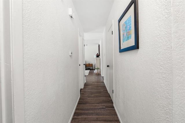 7801 Elderberry Dr, Austin, TX 78745 - corridor with a textured wall and dark wood-style floors