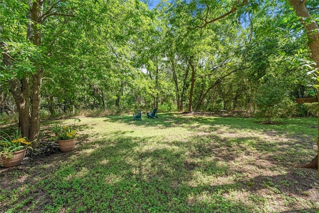 7801 Elderberry Dr, Austin, TX 78745 - view of green lawn
