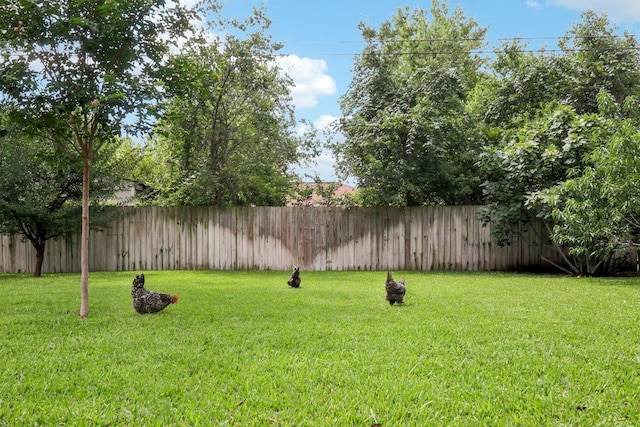 700 Dunman Dr, Georgetown, TX 78628 - photo 32