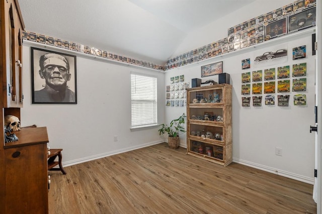 510 Billowing Way, Kyle, TX 78640 - photo 31