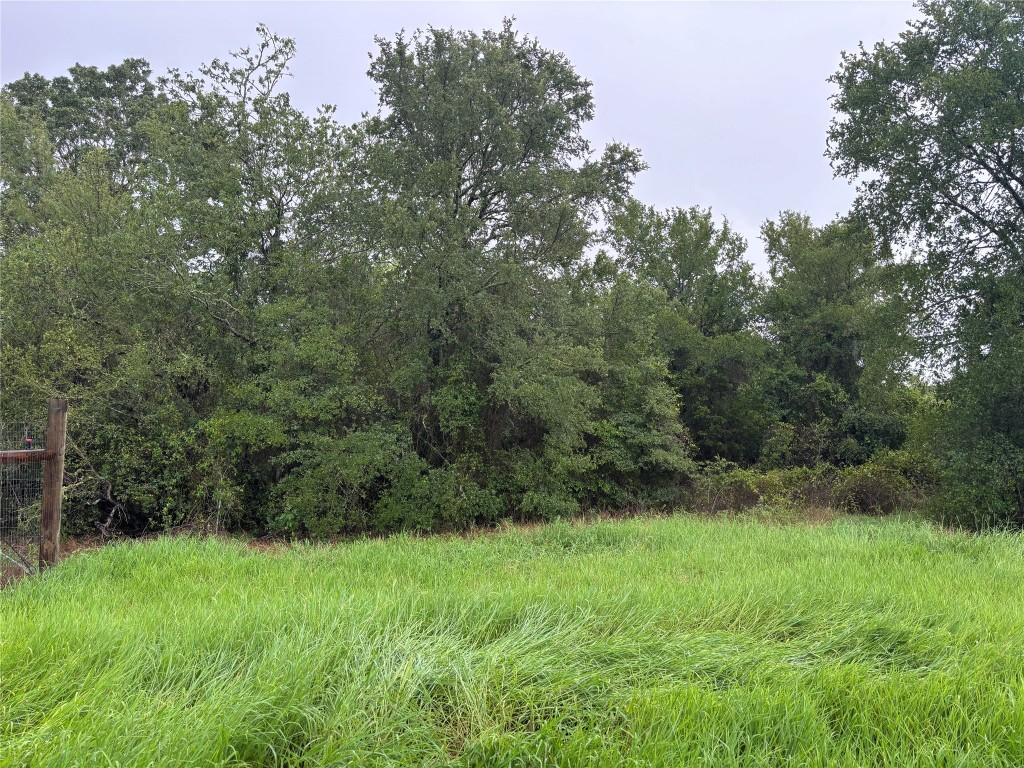 LOT31 Blanket Flower Dr, Bastrop, TX 78602