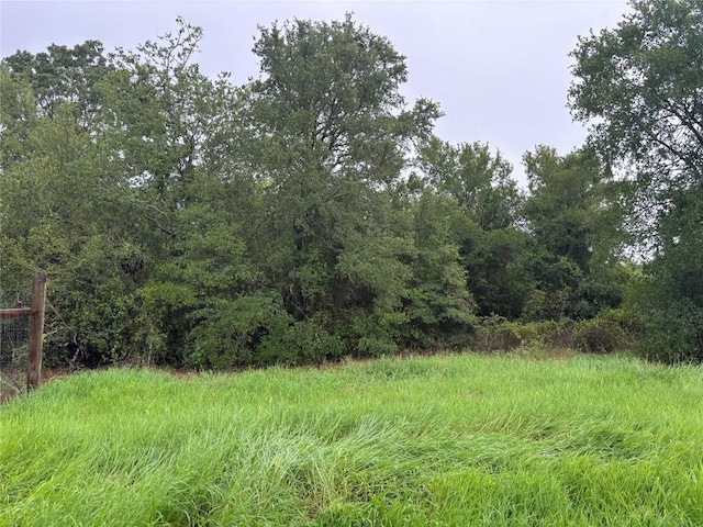 LOT31 Blanket Flower Dr, Bastrop, TX 78602