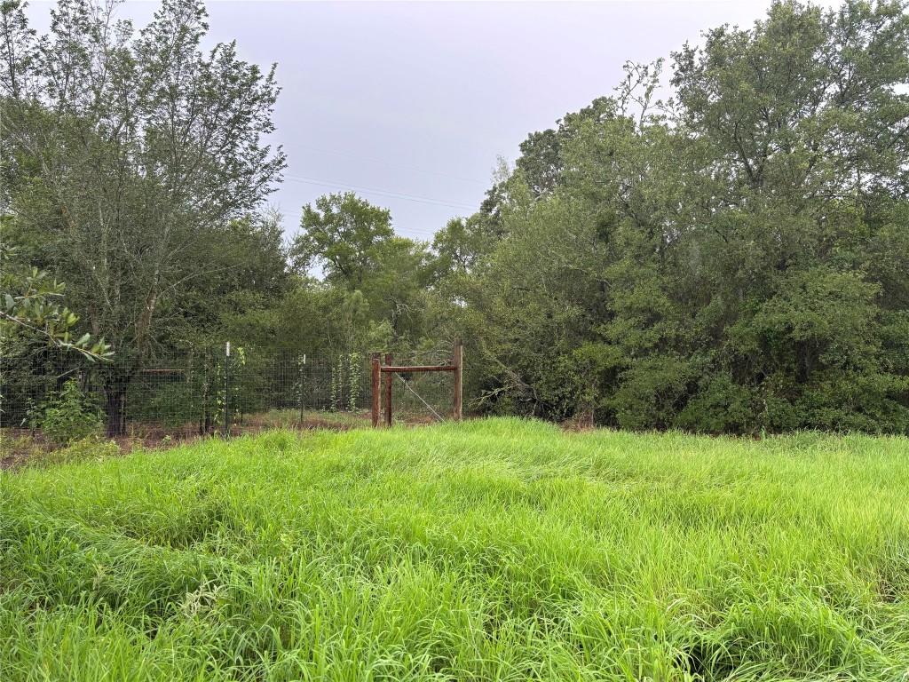 LOT31 Blanket Flower Dr, Bastrop, TX 78602