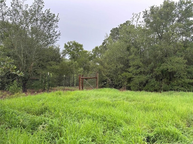 LOT31 Blanket Flower Dr, Bastrop, TX 78602