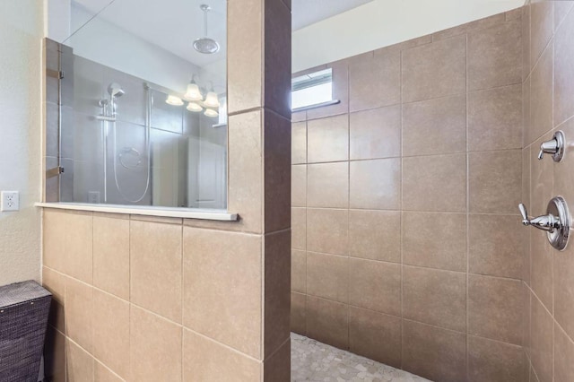 3025 Lions Tail St, Austin, TX 78728 - bathroom with walk in shower
