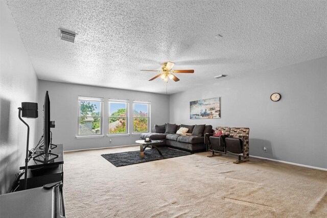 9222 Mirecourt, San Antonio, TX 78250 - photo 21