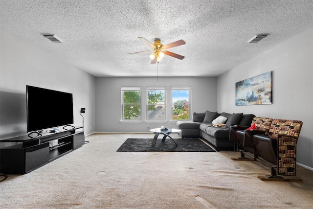 9222 Mirecourt, San Antonio, TX 78250 - photo 22