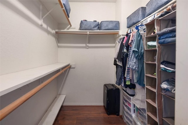 1912 Gaylord Dr, Austin, TX 78728 - spacious closet with wood finished floors