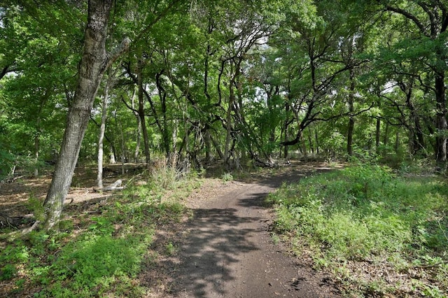 227 Callahan Ln, Leander, TX 78641 - photo 39