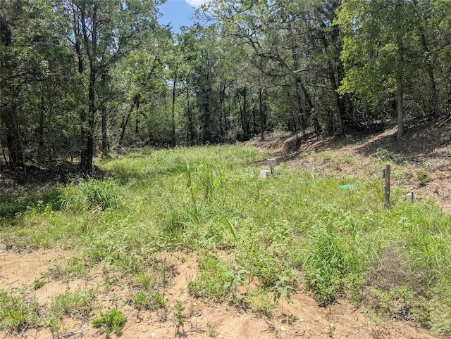 160 Wailupe Cir, Bastrop, TX 78602