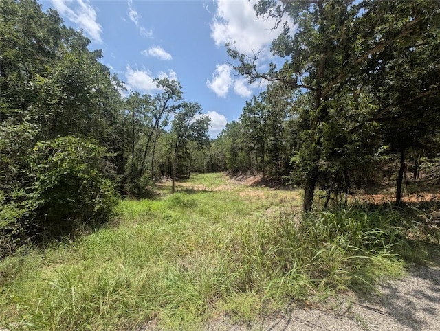 160 Wailupe Cir, Bastrop, TX 78602