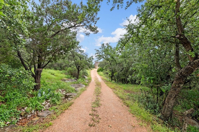 851 Stone Mountain Dr, Marble Falls, TX 78654 - view of dirt / gravel road