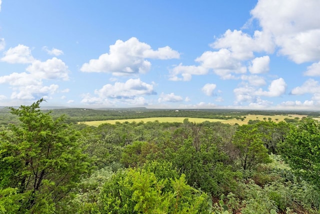 851 Stone Mountain Dr, Marble Falls, TX 78654 - view of mountain background featuring a forest