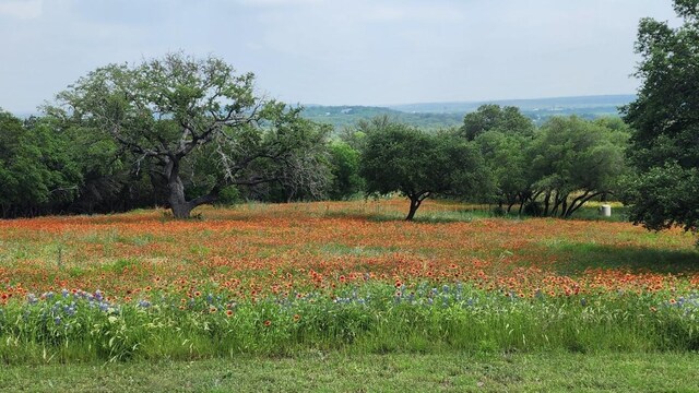 851 Stone Mountain Dr, Marble Falls, TX 78654 - view of local wilderness