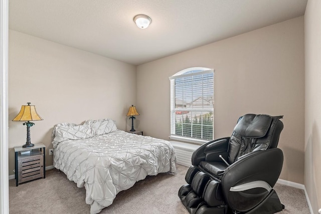 714 Carol Dr, Hutto, TX 78634 - photo 23