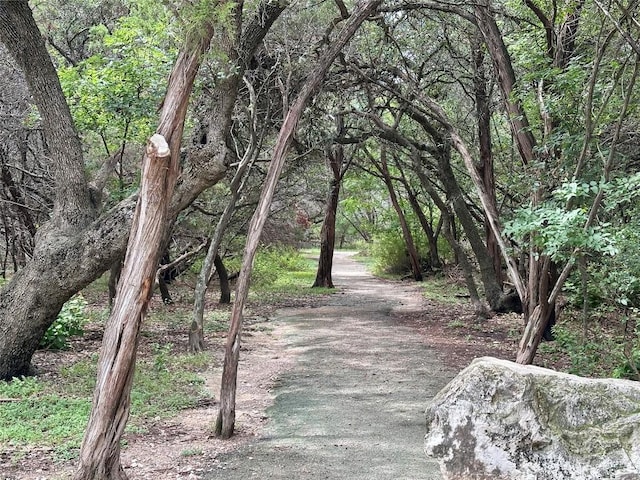701 Mankato Dr, Austin, TX 78748 - view of property's community with a wooded view