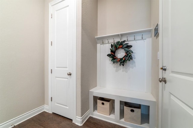 1533 Jay Wolf Dr, Georgetown, TX 78628 - photo 33