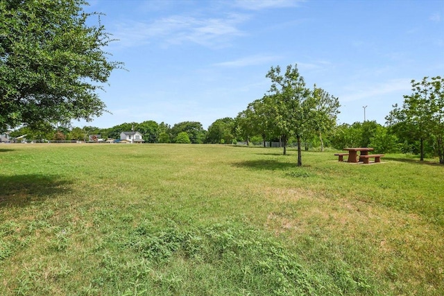 7312 Meador Ave, Austin, TX 78752 - view of grassy yard