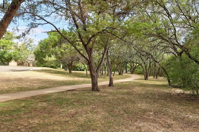 10504 Grand Oak Cir, Austin, TX 78750 - view of green lawn