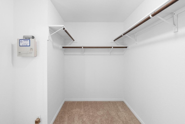 10504 Grand Oak Cir, Austin, TX 78750 - spacious closet with carpet flooring