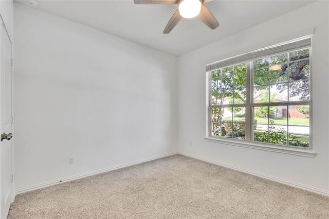 1312 Terrace View Dr, Georgetown, TX 78628 - photo 24