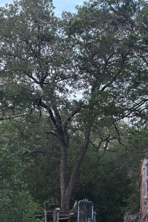 810 Pine Valley Loop, Smithville, TX 78957 - view of yard with a wooded view
