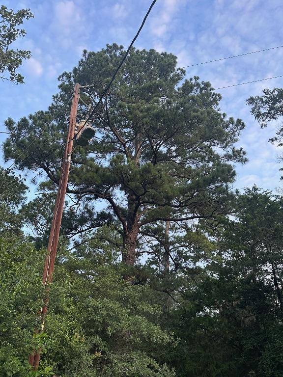 810 Pine Valley Loop, Smithville, TX 78957 - view of nature