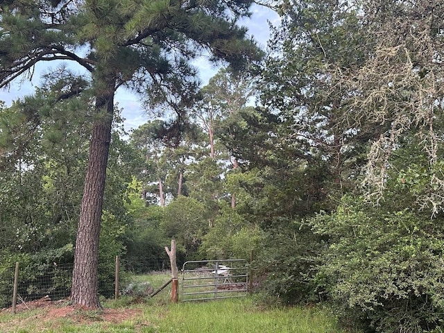 810 Pine Valley Loop, Smithville, TX 78957 - view of yard with a view of trees and a gate