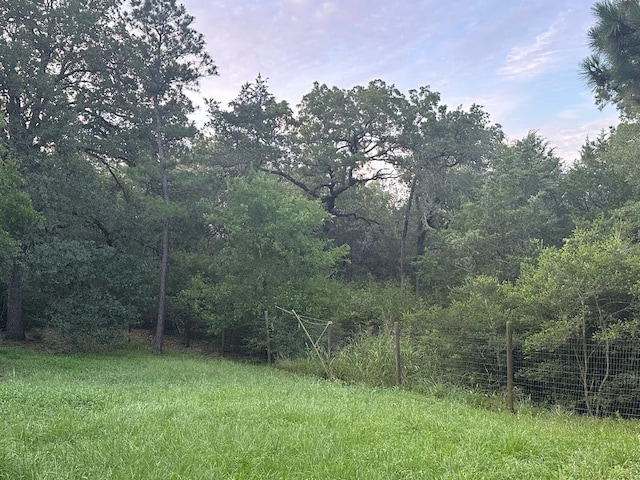 810 Pine Valley Loop, Smithville, TX 78957 - view of wooded area