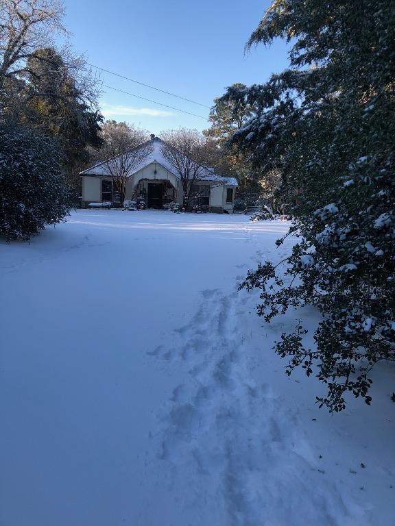 810 Pine Valley Loop, Smithville, TX 78957 - view of yard covered in snow
