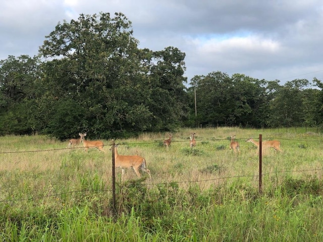 810 Pine Valley Loop, Smithville, TX 78957 - view of yard featuring a view of rural / pastoral area