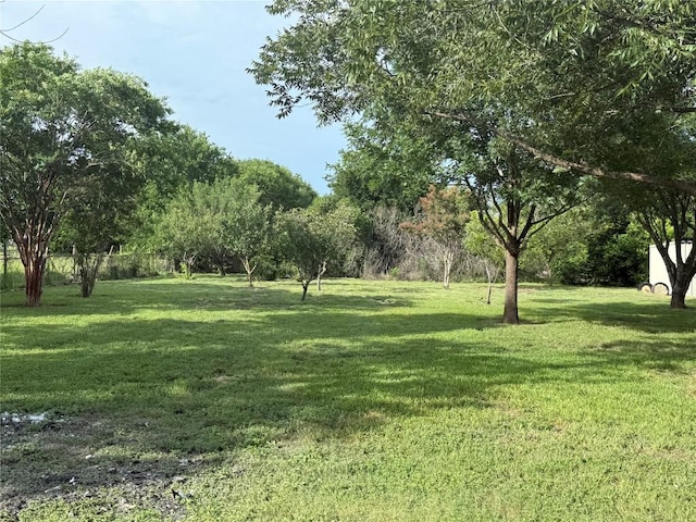 1313 Southpoint Dr, San Marcos, TX 78666 - photo 29