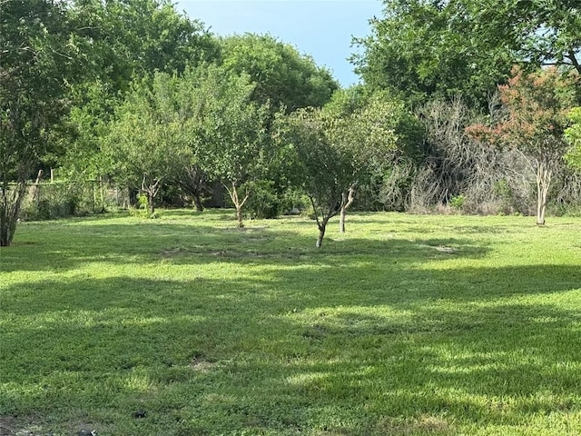 1313 Southpoint Dr, San Marcos, TX 78666 - photo 31