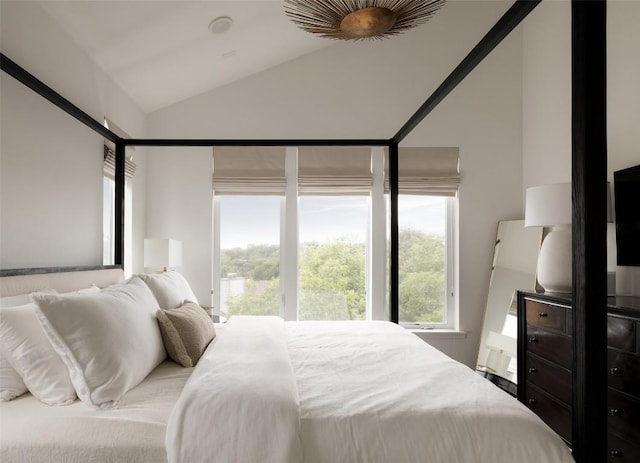 3100 Menchaca Rd Unit 10, Austin, TX 78704 - bedroom featuring multiple windows and high vaulted ceiling