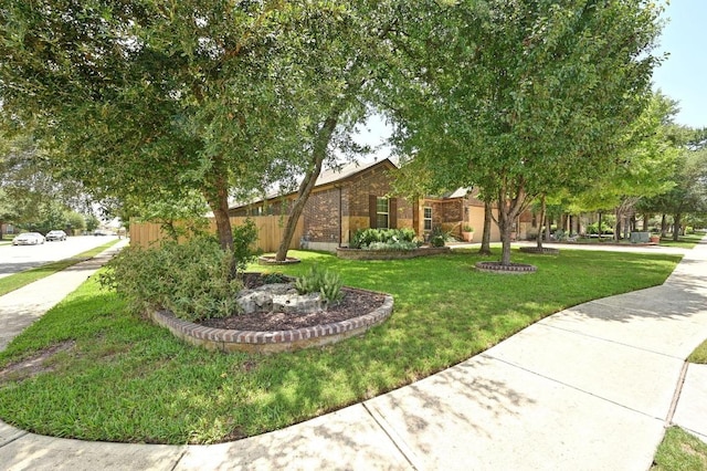 115 Treehaven Ct, Buda, TX 78610 - photo 4