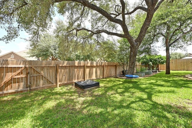 115 Treehaven Ct, Buda, TX 78610 - photo 37