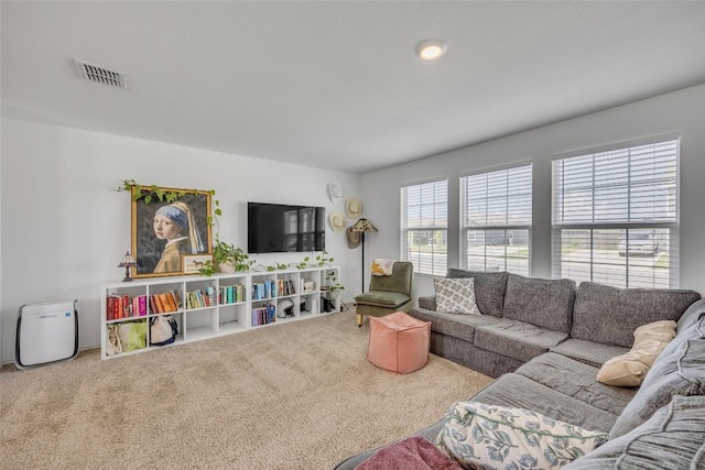 2406 Windrow Ln, Lockhart, TX 78644 - living area with carpet